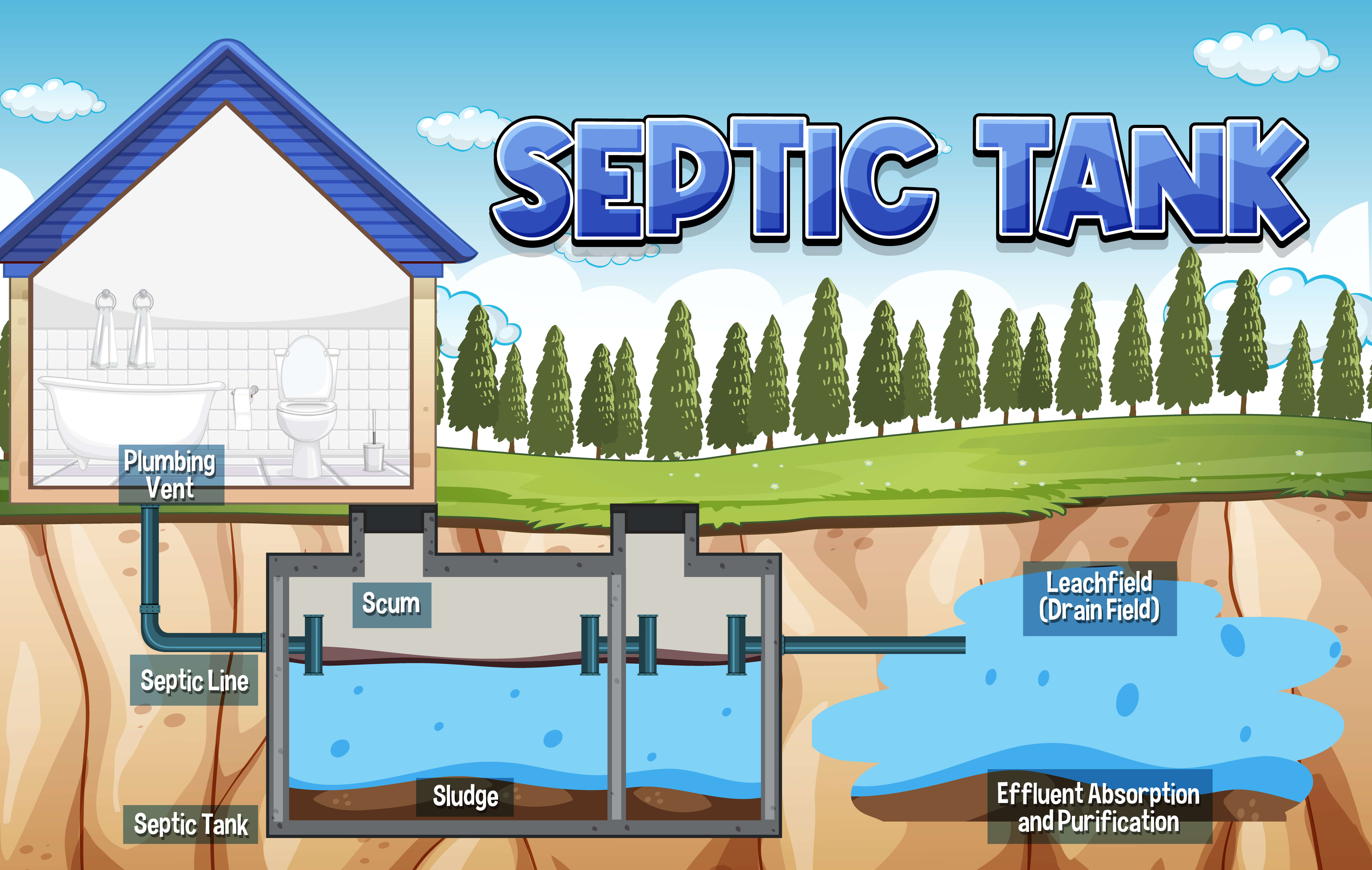 Maintaining a healthy septic system in 2024 - Tampa Bay Plumber