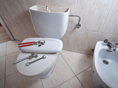 How to Unclog a Toilet with a Plunger or Auger | Tampa Bay Plumber | Plumbing services Tampa Bay