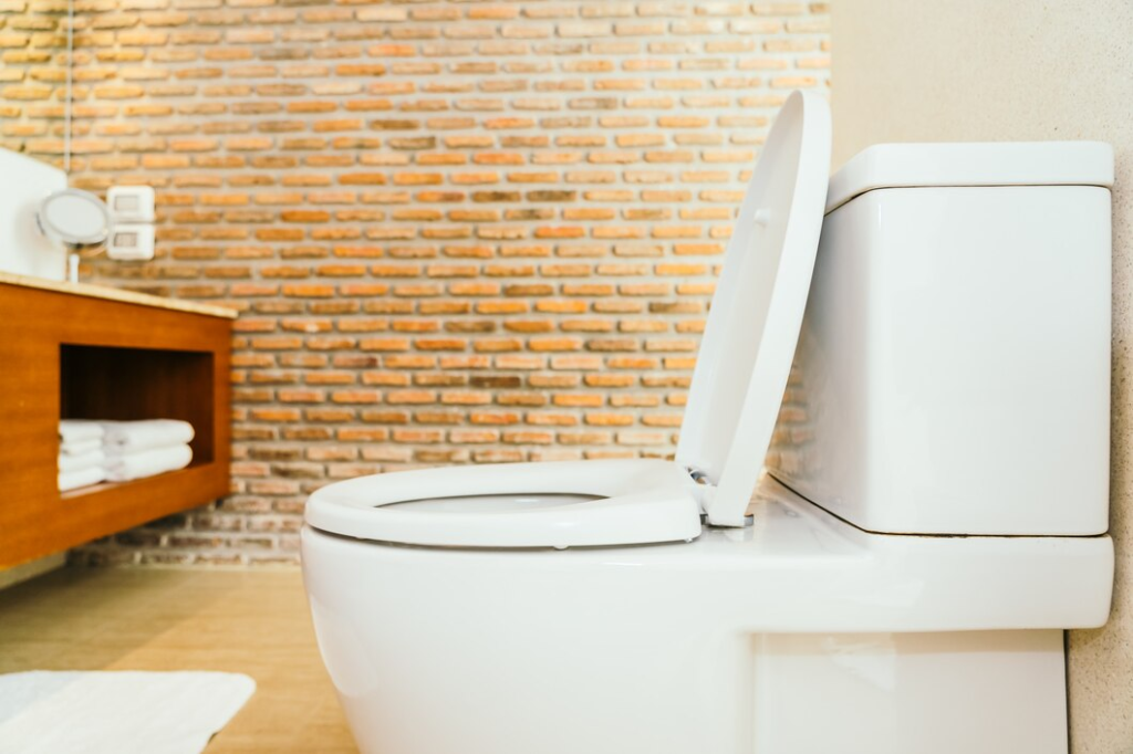 Toilet Clogs | Toilet repair service in Clearwater, Florida Tampa Bay Plumber