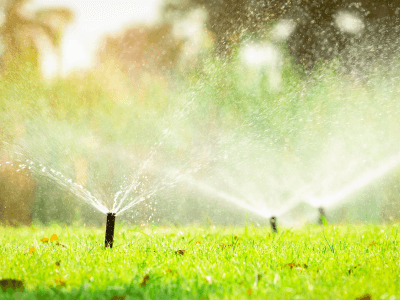 Lawn Sprinkler System Installation Services In Clearwater, FL | Tampa Bay Plumbing