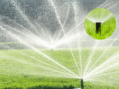 Step-by-Step Guide to Repairing a Sprinkler Head or Line | Tampa Bay Plumber LLC