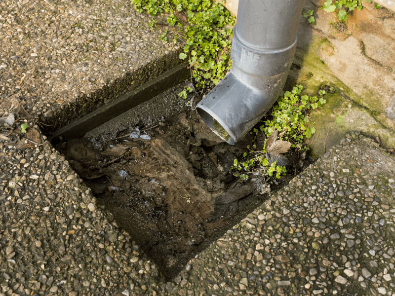 Blocked Drains How Camera Inspection Finds the Real Cause Tampa Bay Plumbing